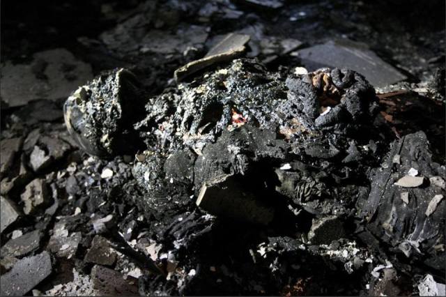 1613796_594534160628398_1854086324_n