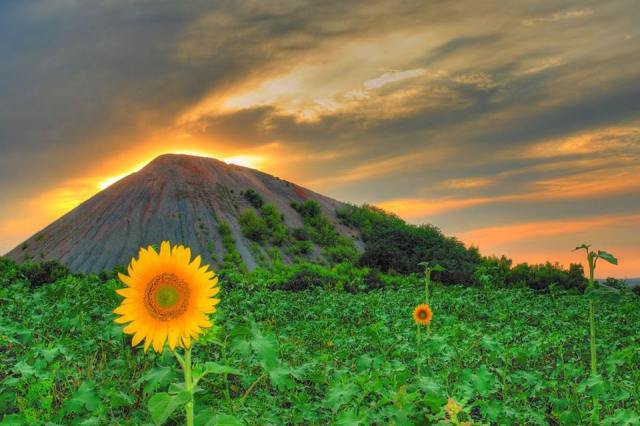 A terricone in Donbas