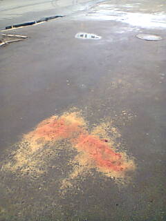 Blood near Mariinsky Park