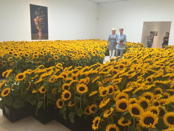 Sunflower memorial in Amsterdam for the victims of flight MH17 downed in the fields of eastern Ukraine 1 year ago today. Source