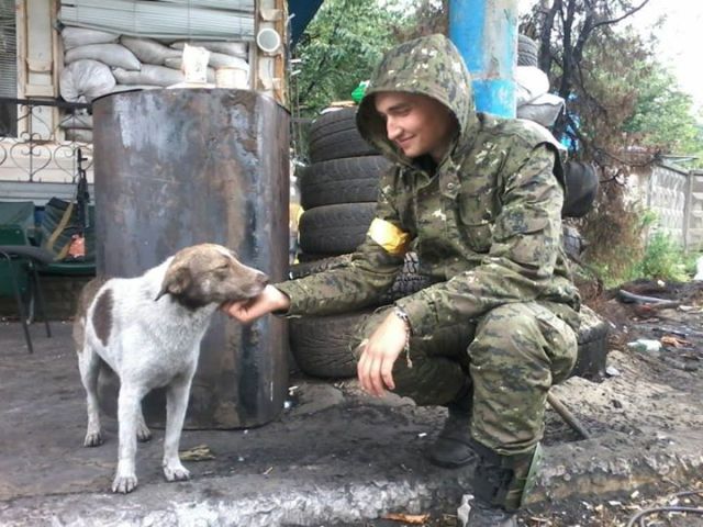 A separatist dog who switched sides, defecting to Ukraine. They call him Ashes.